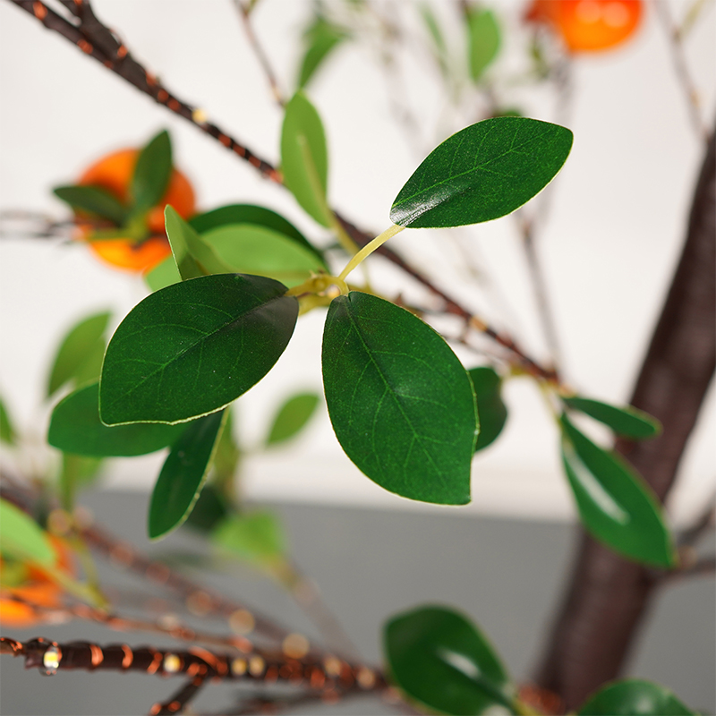 Simulation Pomegranate Tree With Light